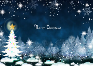 クリスマスツリー